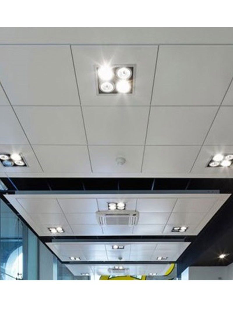 M.S Powder Coated Cabin with Decorative False Ceiling by Mithila Elevator